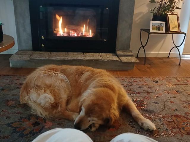 Room for rent in Camerons Creek, Victoria