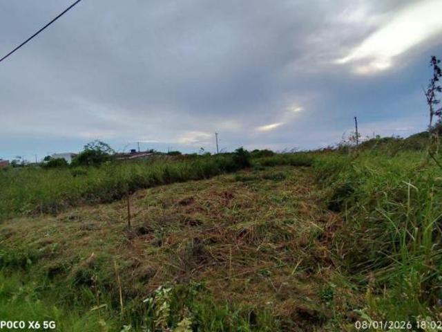 Terreno venda em Ilha Comprida