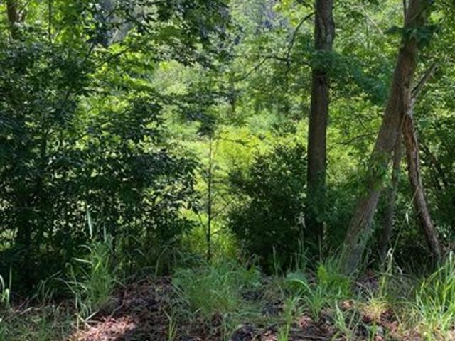 Land for sale in Tioga, Pennsylvania
