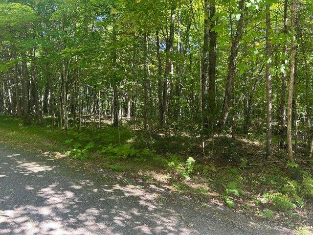 Land for sale in Vilas, Wisconsin
