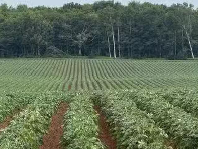 House for sale in Queens, Prince Edward Island