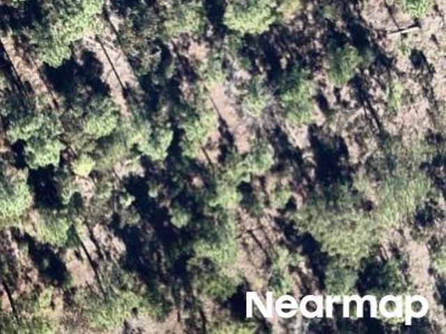 Land for sale in Hawthorne, Florida