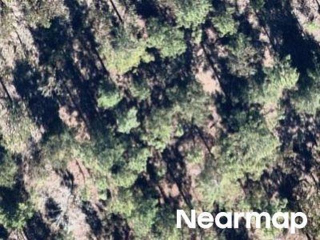 Land for sale in Hawthorne, Florida