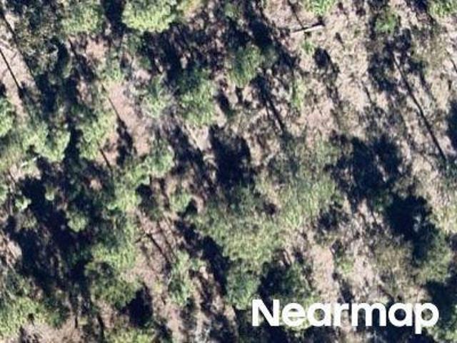 Land for sale in Hawthorne, Florida