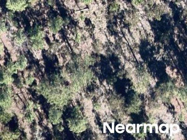 Land for sale in Hawthorne, Florida
