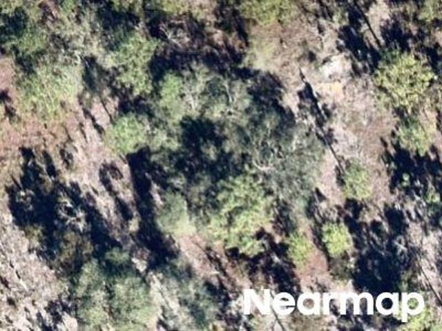 Land for sale in Hawthorne, Florida