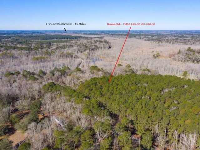 Land for sale in Cottageville, South Carolina