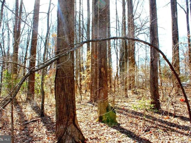 Land for sale in Virginia