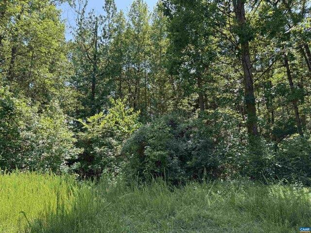 Land for sale in Virginia