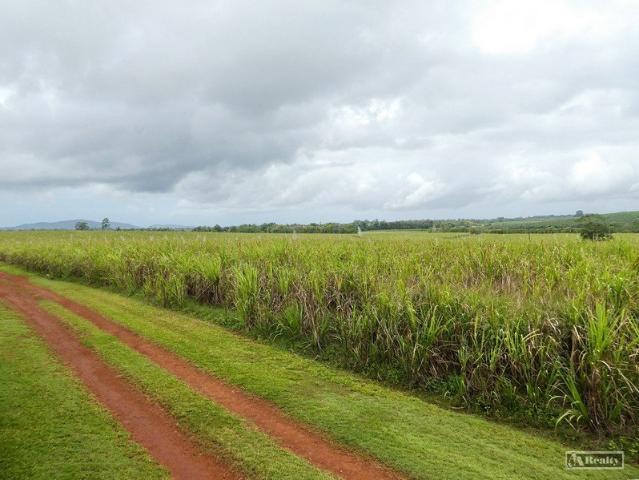 Property for sale in Bamboo Creek, Wangan