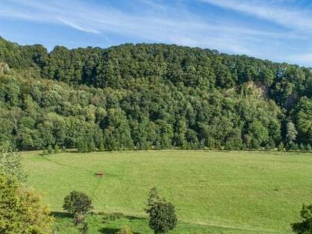 House for sale in Newton St Cyres, Devon