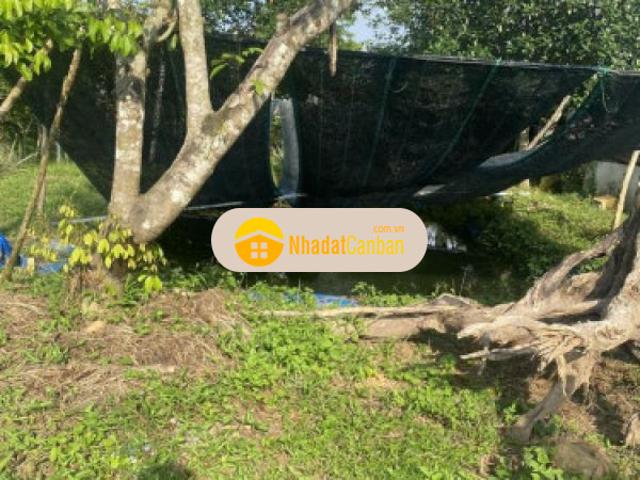 Mặt bằng bán
