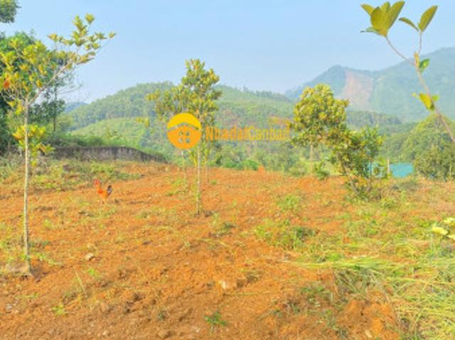 Mặt bằng bán