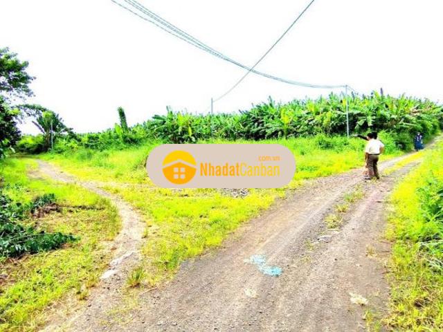 Mặt bằng bán