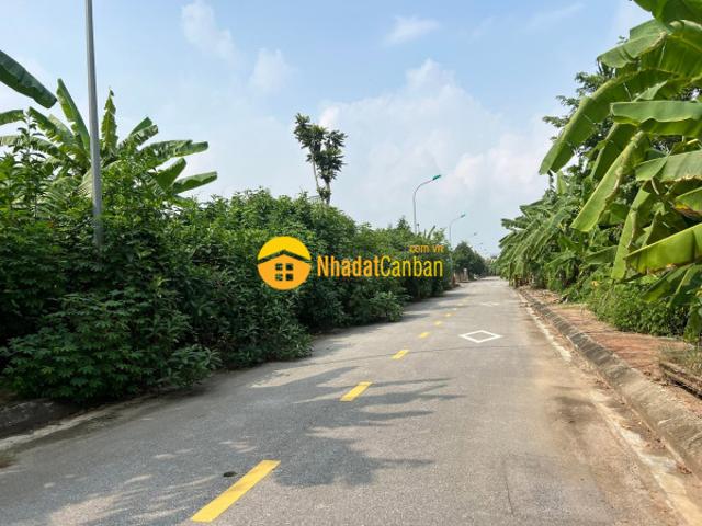 Mặt bằng bán tại Trần Hưng Đạo, Thành phố Hải Phòng