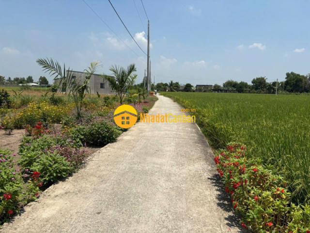 Mặt bằng bán
