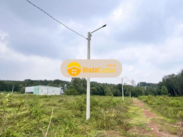 Mặt bằng bán