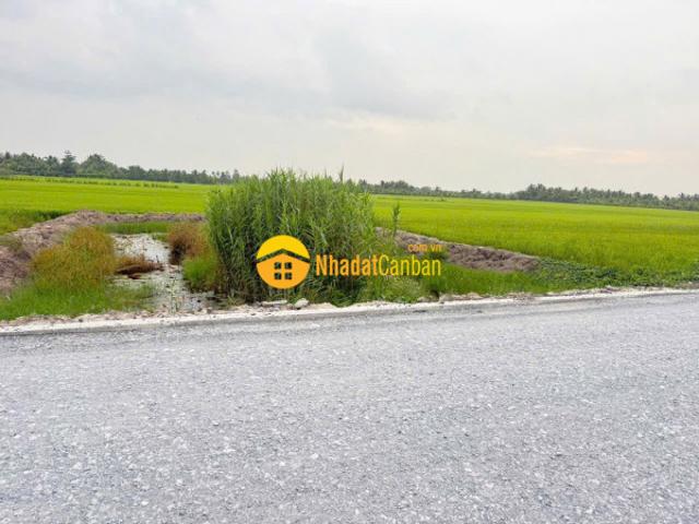 Mặt bằng bán