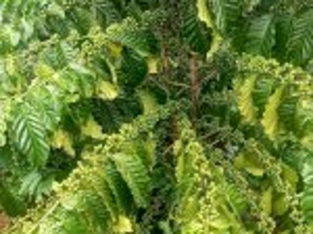 Bất động sản bán