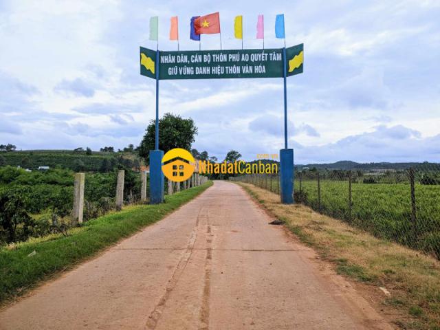 Mặt bằng bán