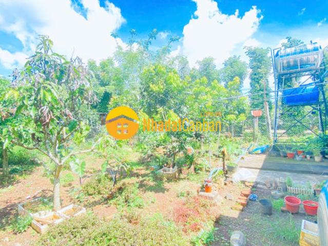 Mặt bằng bán