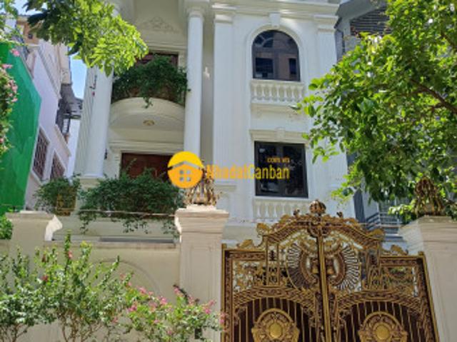 Biệt Thự bán
