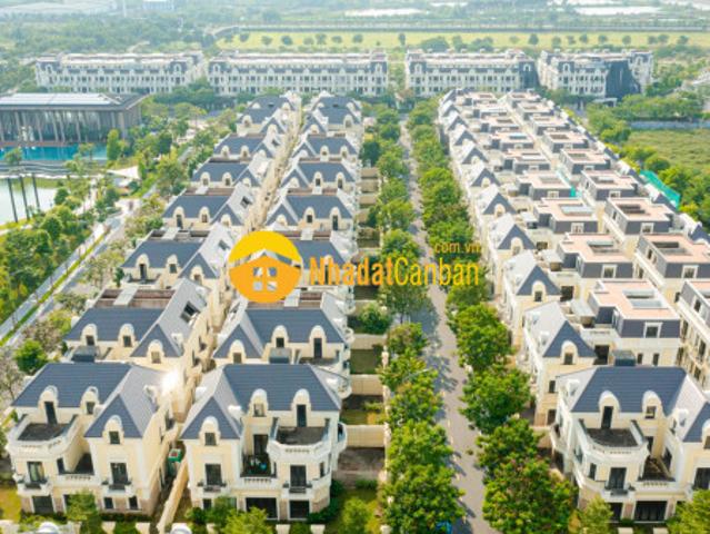 Biệt Thự bán