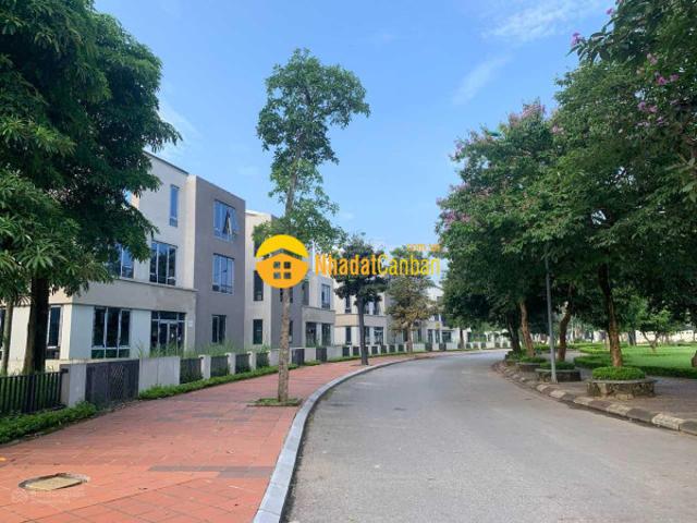 Biệt Thự bán