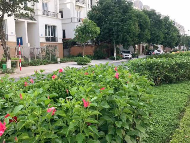 Biệt Thự bán tại Hoàn Kiếm, Hà Nội