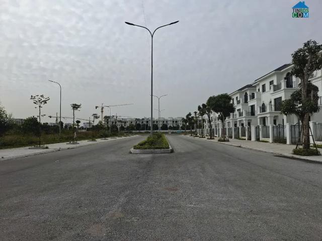 Biệt Thự bán