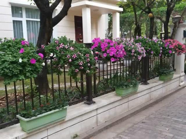 Biệt Thự bán tại Hoàn Kiếm, Hà Nội