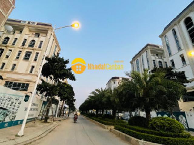 Biệt Thự bán