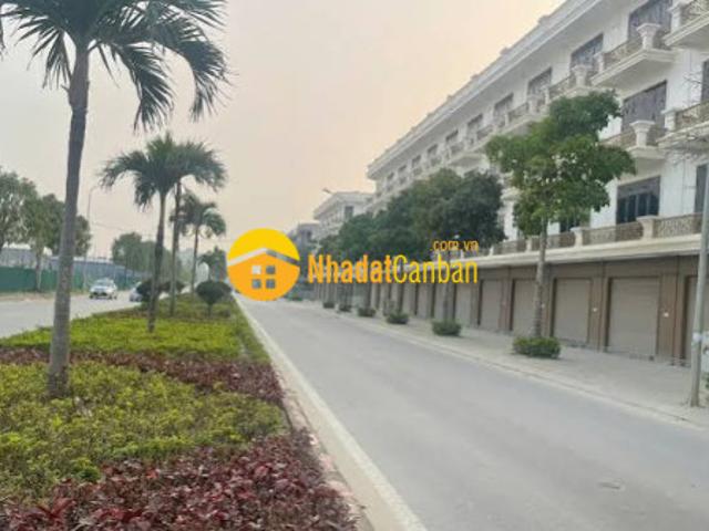Biệt Thự bán
