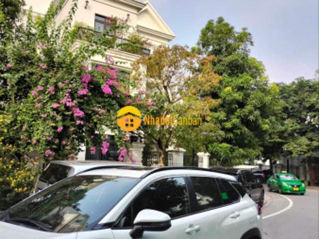 Biệt Thự bán
