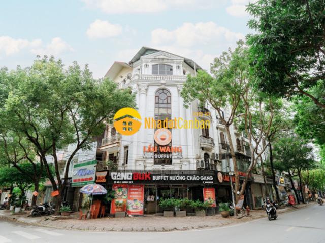 Biệt Thự bán