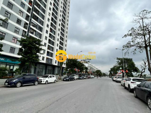 Biệt Thự bán