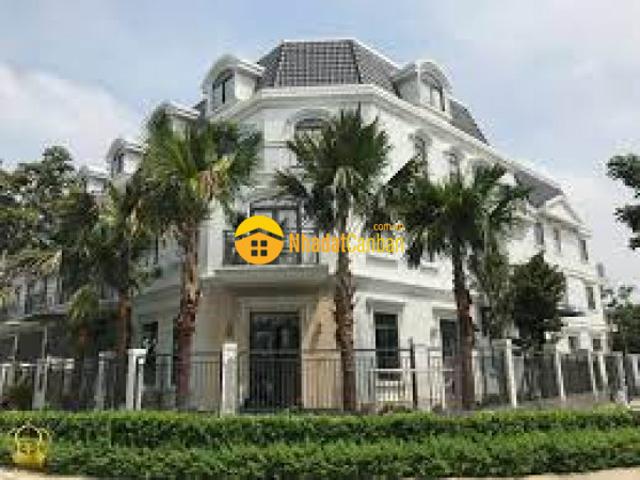 Biệt Thự bán