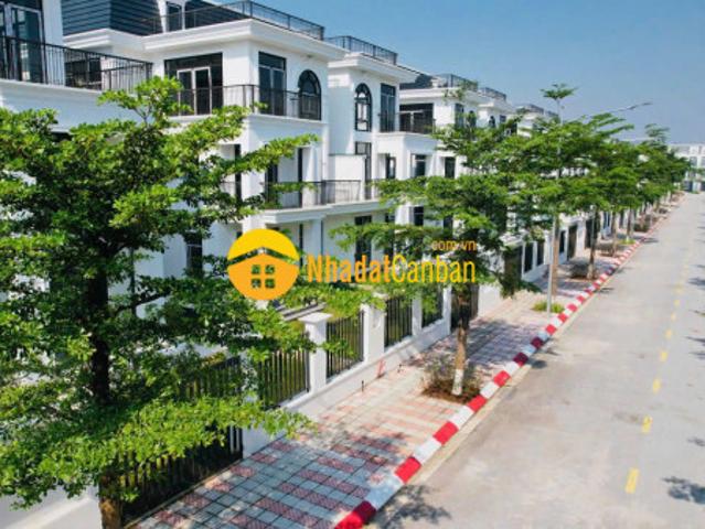 Biệt Thự bán