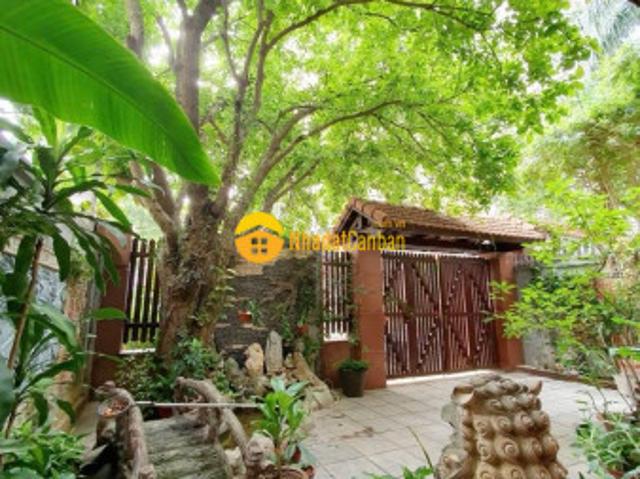 Biệt Thự bán