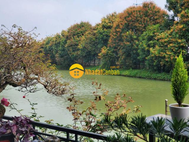 Biệt Thự bán