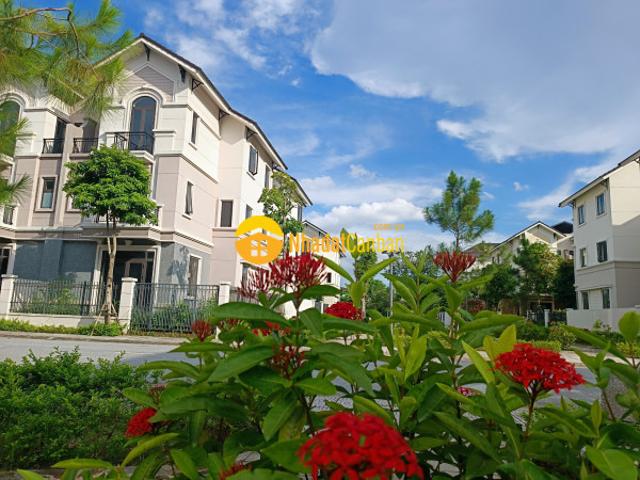 Biệt Thự bán