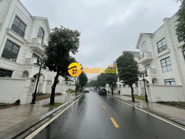 Biệt Thự bán