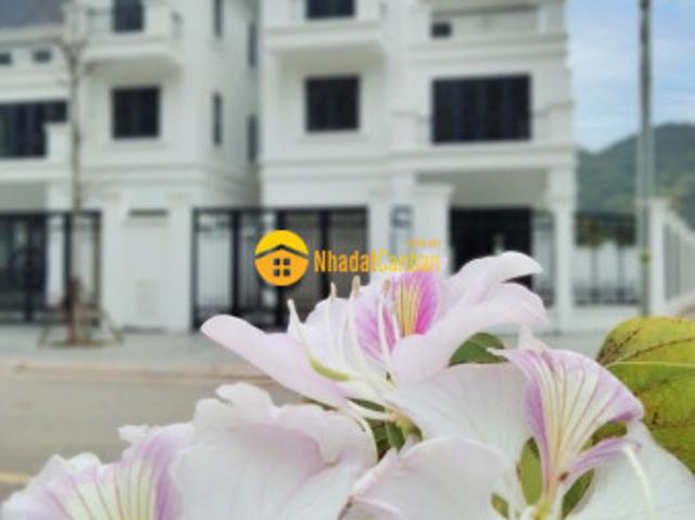Biệt Thự bán tại Sơn La