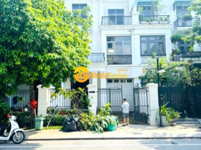 Biệt Thự bán