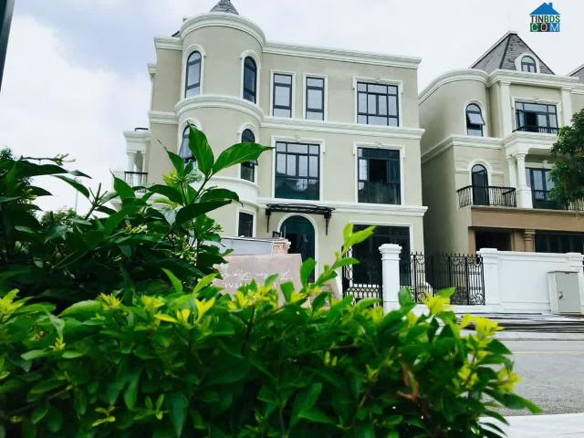 Biệt Thự bán tại Hoàn Kiếm, Hà Nội