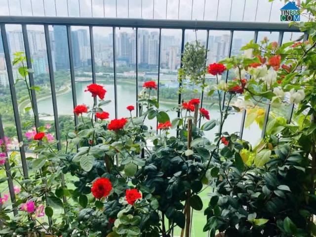 Căn hộ bán tại Hoàn Kiếm, Hà Nội