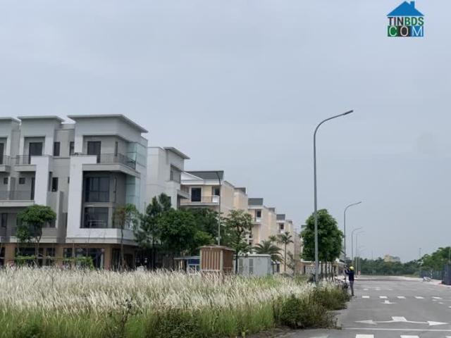 Biệt Thự bán tại Bắc Ninh