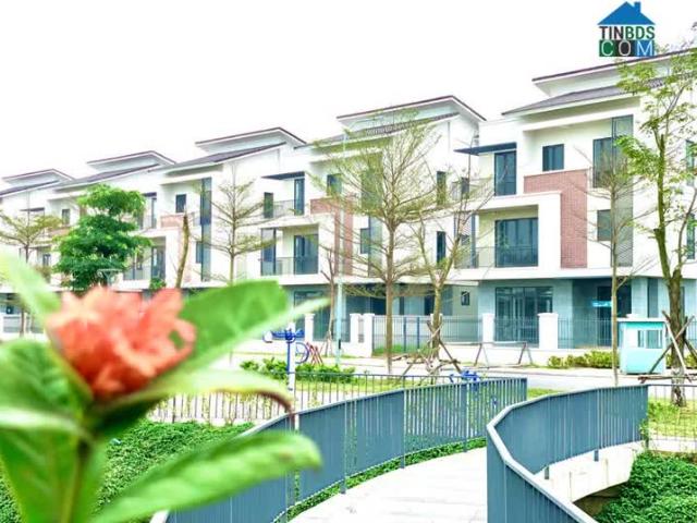 Biệt Thự bán tại Bắc Ninh