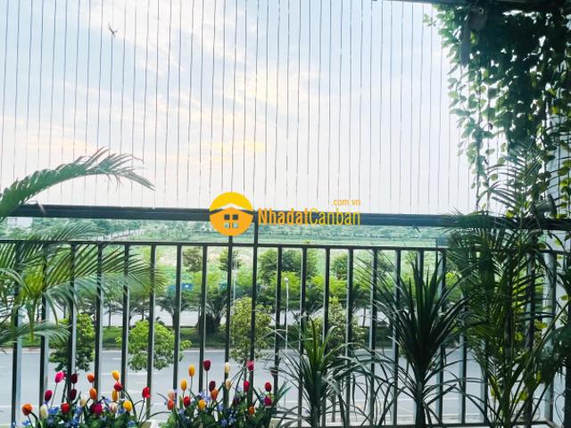 Căn hộ bán