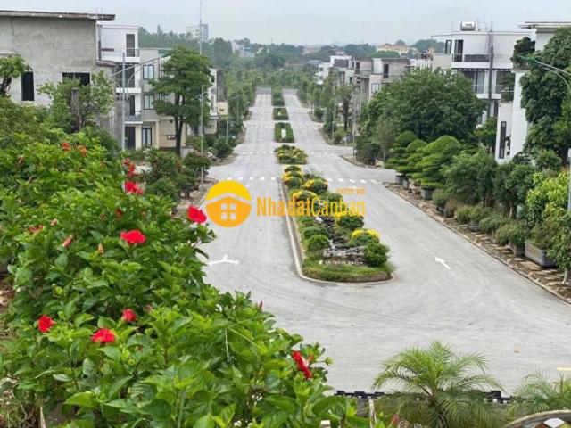 Mặt bằng bán